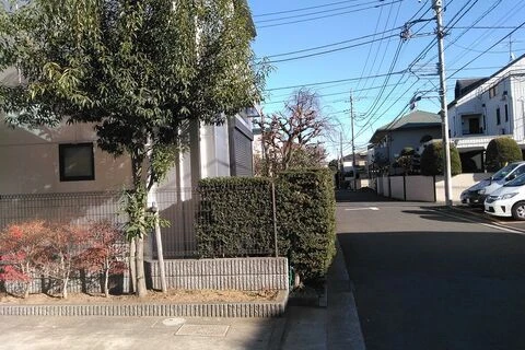 ダウンロード - 2024-11-21T204309.954