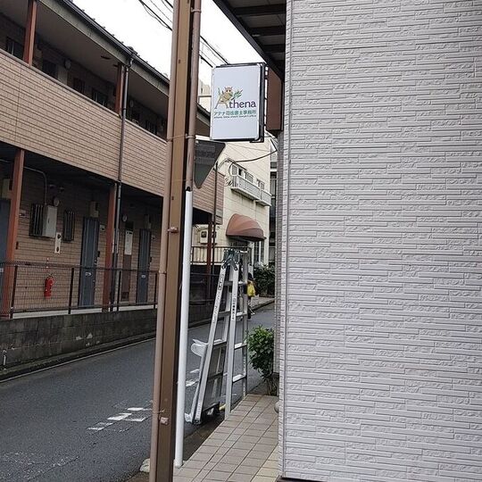 ダウンロード