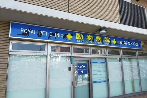 ダウンロード (1)