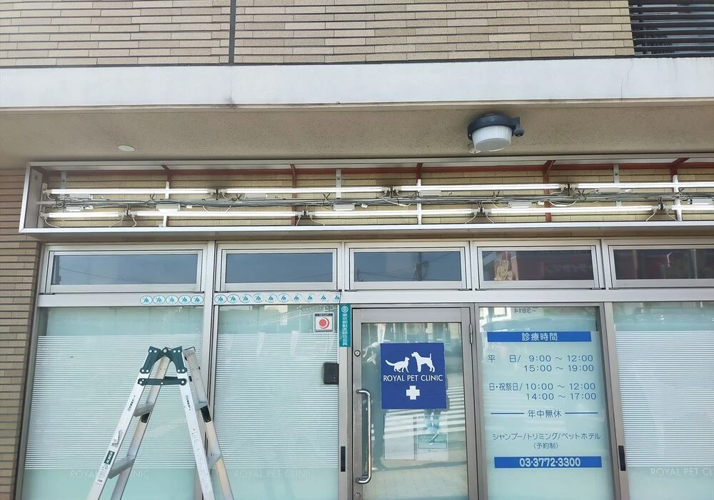 ダウンロード (2)