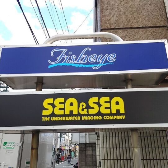 ダウンロード (2)