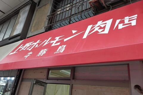 ダウンロード (1)