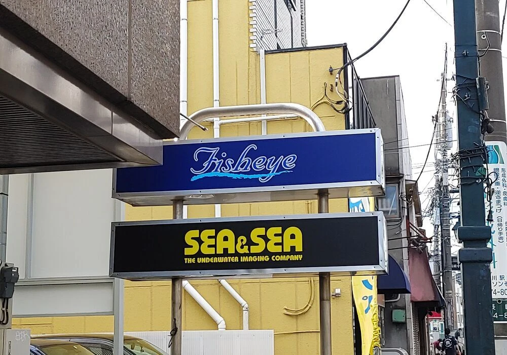 ダウンロード (3)